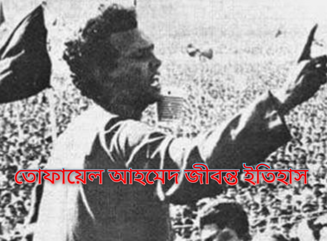 তোফায়েল আহমেদের বিরুদ্ধে পরোয়ানা, আইনজীবীর দাবি—স্মৃতিশক্তি নেই